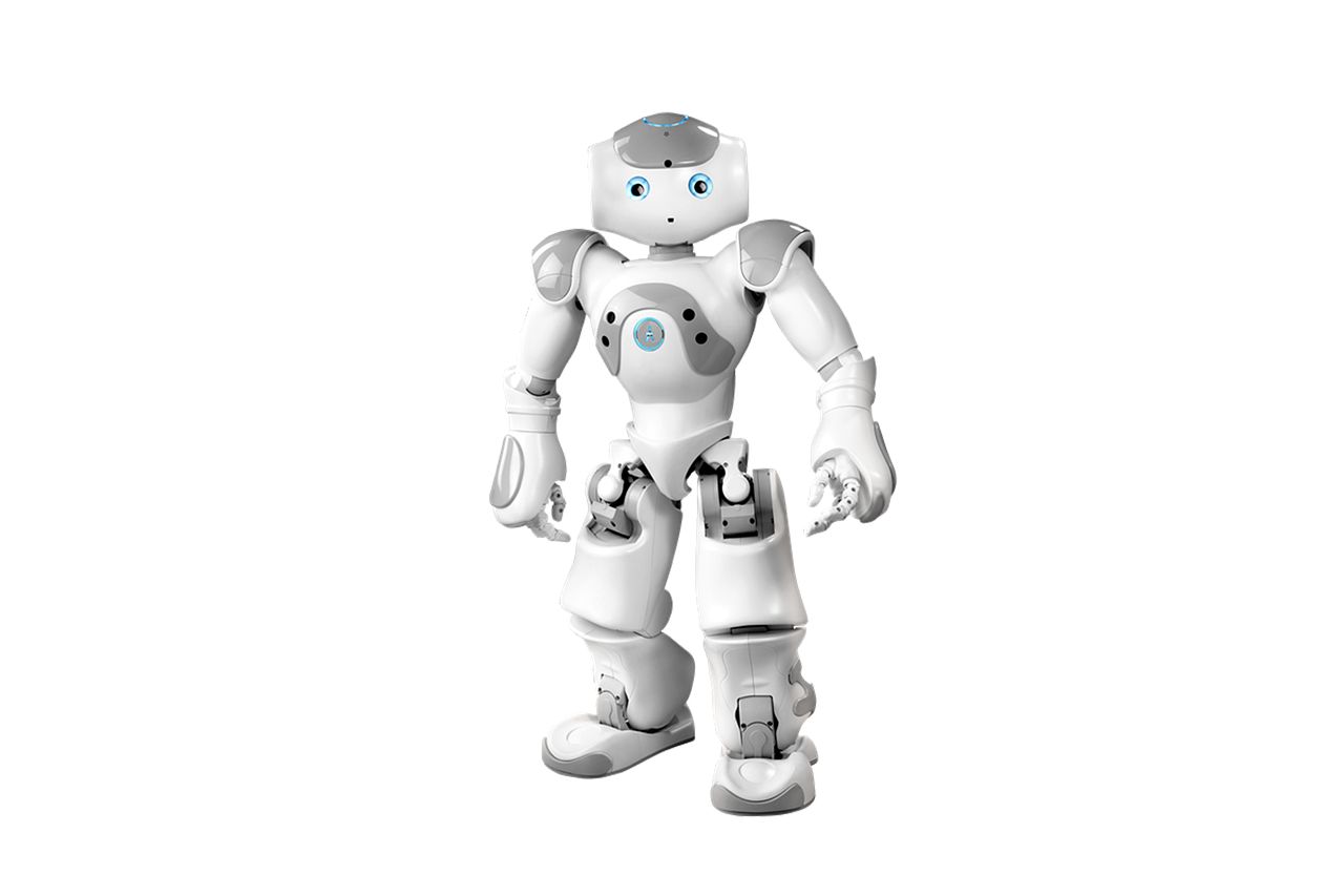 Robot
